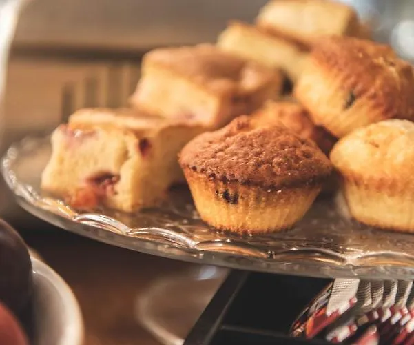 Ingo كراكوفيا