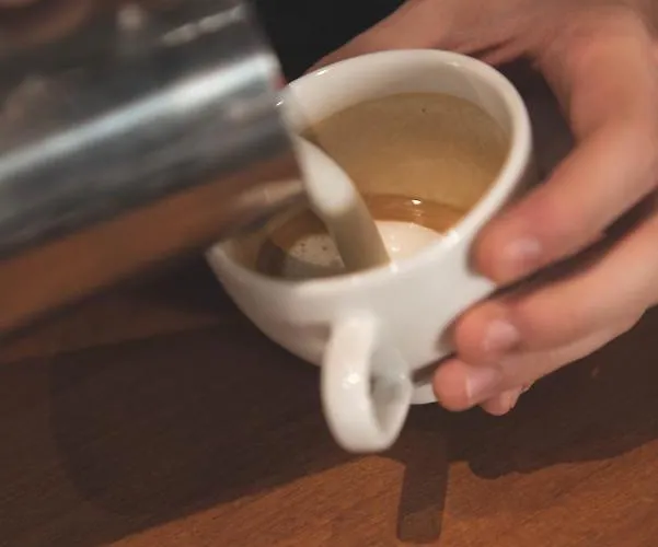 Ingo كراكوفيا